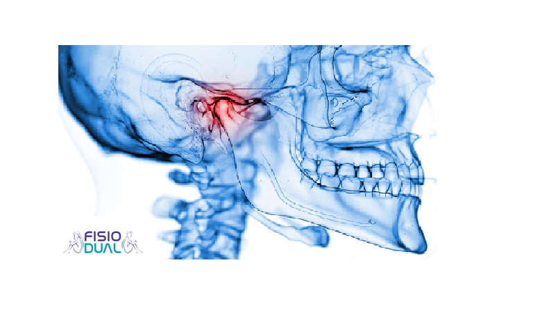 articulación temporo mandibular